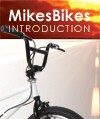 MikesBikes Introduction to Business Simulation