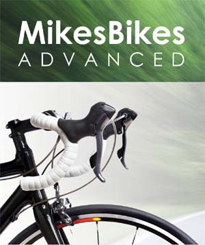MikesBikes Advanced Strategic Management Capstone Business Simulation